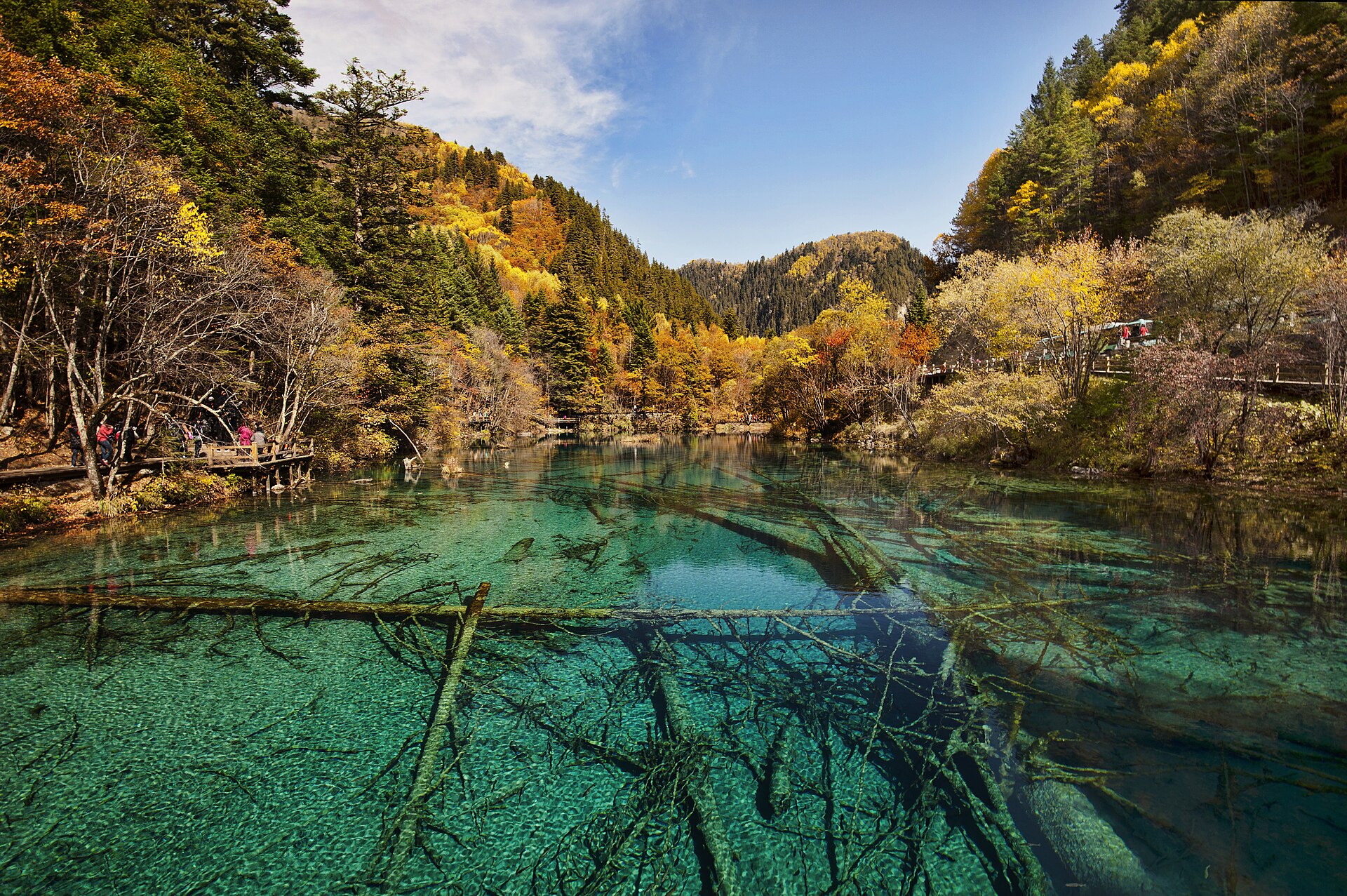 Clear turquoise water reveals fallen trunks at Five Flower Lake in Jiuzhaigou, surrounded by autumn forest.